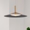 Nuvo Corrine, 14 Inch LED Pendant, Burnished Brass, 3K/4K/5K CCT Selectable 62/2092 - alternate 5